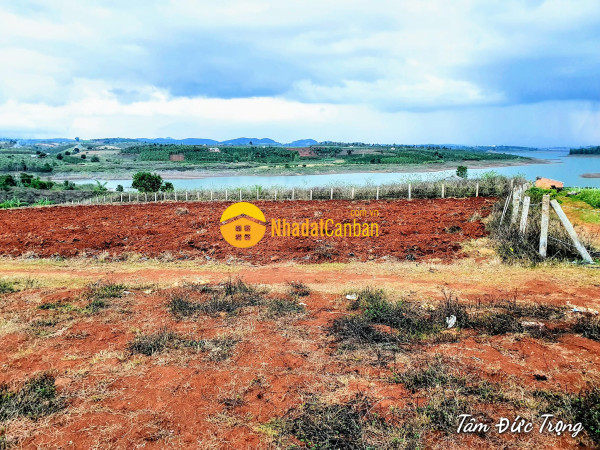 Bán 14.000m2 đất view hồ đại ninh xã tà hine,đức trọng,lâm đồng giá 11 tỷ tl