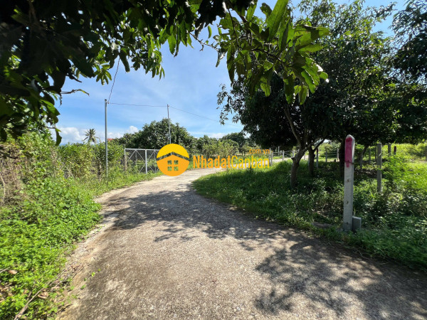 Đất thổ cư suối tiên diên khánh nay là suối hiệp dt 68m ngang 5,5m 100 thổ cư đường ô tô